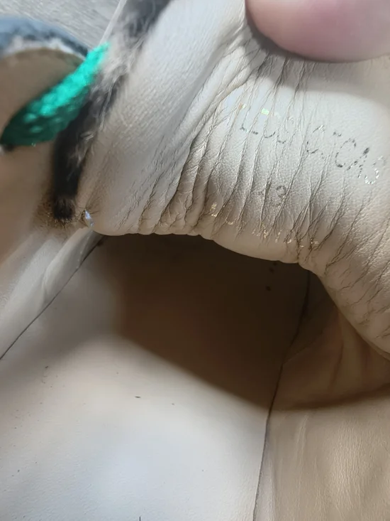 Burberry Multicolored Animal & Check Print Sneakers with Green Laces - Picture 7 of 9